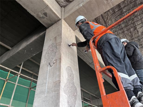 主體結構檢測項目